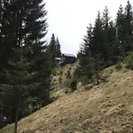 Chalet Dereva Yablunytsya