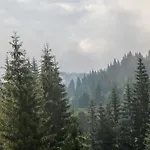 Chalet Dereva
