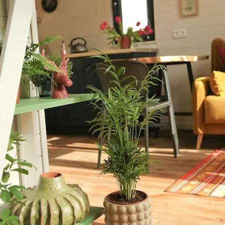 Dereva Яблоница