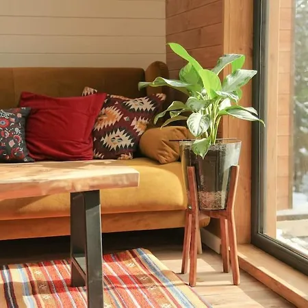 Dereva Яблоница