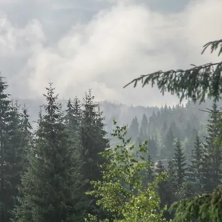 Dereva * Яблоница