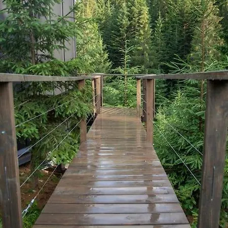 Dereva Chalet Yablunytsya
