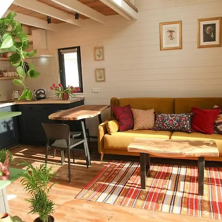 Dereva * Яблоница