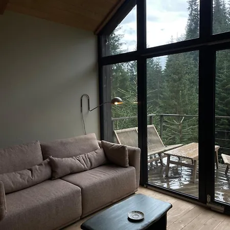 Dereva Шале Яблоница