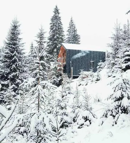 Alpesi faház Dereva