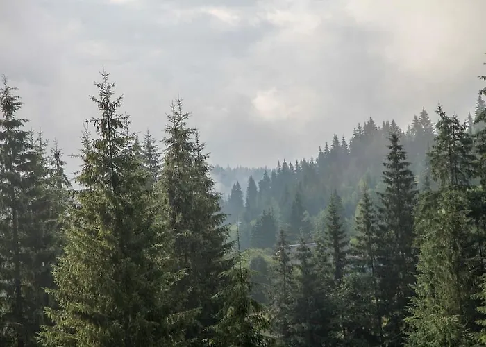 Alpesi faház Dereva