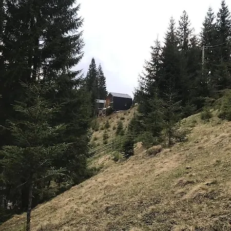 Alpstuga Dereva Jablunytsja