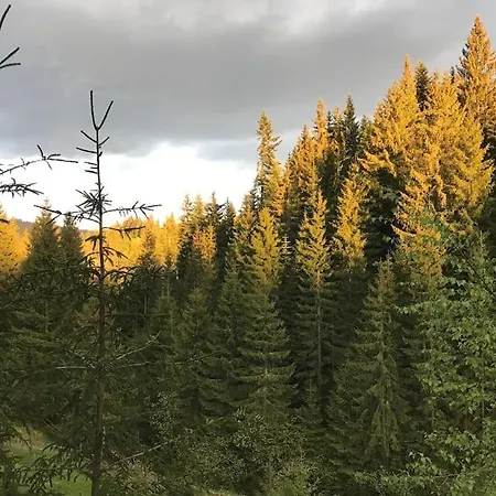 Alpstuga Dereva